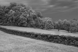 Brick Wall by Gary Regulski