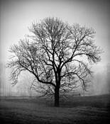 Reaching Out by Howard Grill