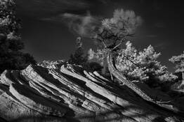 Sandstone Sidelighting by Jeff Clay