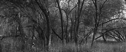 Basset Road - Spring Morning by JW Johnston