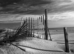 End of the Season by Karen Rozbicki Stringer