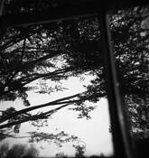 Visions by Katherine Burness