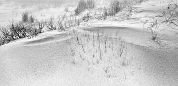 Untitled by Michael A. McCullough