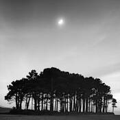 Utopian Vision by Miguel Puche