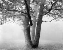 Beautiful Light by Mike Kwiatkowski