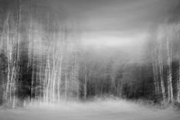 Graphite 1 by Myra Elizabeth Elliott