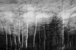 Graphite 2 by Myra Elizabeth Elliott