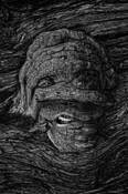 Tree Monster by Don Russell