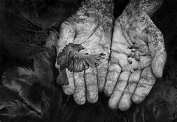 An Offering by Mickie Rosen