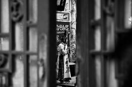 Peek by Kyu Kim