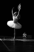 Untitled by Scott Cole