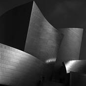Walt Disney Concert Hall by Ron Discipulo