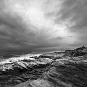 Beavertail 2 by William Brennan