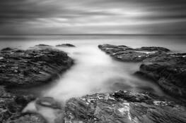 Beavertail by William Brennan