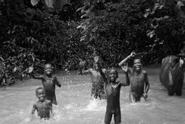 Joys of Summer by William Acosta