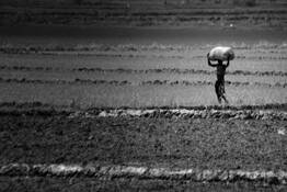 Going Home 3 by William Acosta