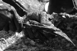 Hands 2 by William Acosta