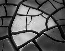 Scorched Earth by Alan Shero