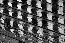 Deck Art by Babara House