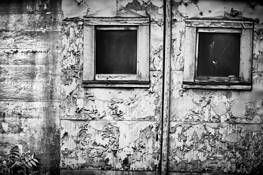 Work of Man by Patricia Sheley