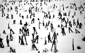 In the Cold Nature by Giuseppe Violetta