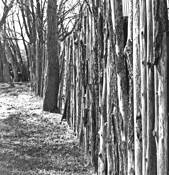 Santa Fe Fence by Barbara Smith