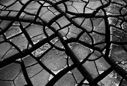 Parched 1 by Rodney Gene Mahaffey