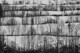 Rolling Hills by Seyda Deligonul