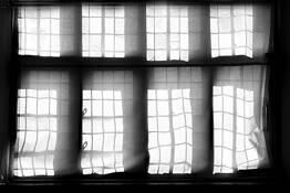 Windows by Stephen Hodgetts