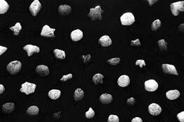 Untitled #1 by Steve Huth