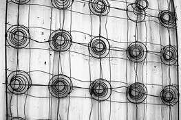 Found Art by Steve Immel