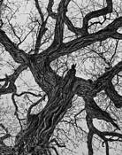 Expressive Hands by Dennis Fritsche