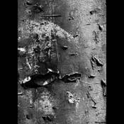 Brick Study 9 by Don Mendenhall