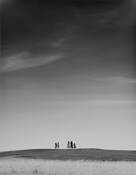 5 Trees by William F. Lemke