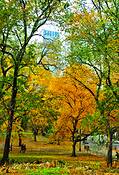 Central Park by William A. Roberts. MD