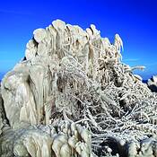 Ice Storm 5 by William Sheck
