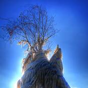 Ice Storm 8 by William Sheck