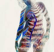 b1950G by Arla Patch