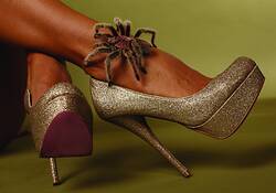 Ashley's Shoes by Jeff Appel