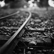 Gone by Andrew Effendy