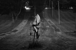 The Coat by Andy Brooks