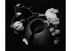 Untitled 2 by Anne Scott