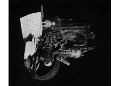 Untitled 5 by Anne Scott