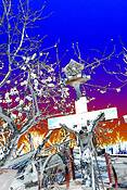 The Cross by William A. Roberts. MD