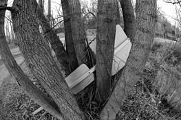 Hidden Sign by Art Braitman