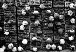 Floats by Benno Auerbach