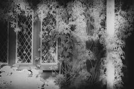 Dream House by Milicska Jalbert