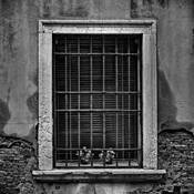 Behind Bars by Harald Ingebrigtsen