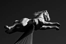 Flying Horse by Heiner Pflug