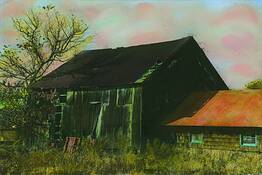 The Ole' Duck Barn by Mia Wisnoski